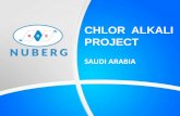 Plant saudi arabia chlor alkali chemical plant