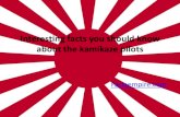 Interesting facts you should know about the kamikaze