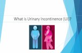 What is Urinary Incontinence (UI)?