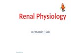 Renal physiology, nephron structure, function,jga. hussein f. sakr