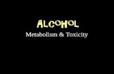 Alcohol, Metabolism & its Toxicity