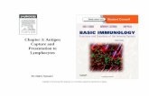 Chapter 3 antigen capture and presentation to lymphocytes lecture 3