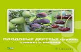 Fruit trees in Russian