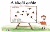 A flight guide - for little yellow ducks (1)English