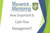 The Importance of Cash Flow Management to a Business's Success