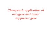 oncogenes and tumour supressor genes