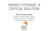 Energy Storage: A Critical Solution