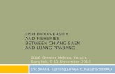 Fish Biodiversity and Fisheries between Chiang Saen and Luang Prabang