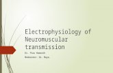 Electrophysiology of Neuromuscular Transmission