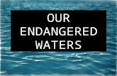 Our endangered waters andee