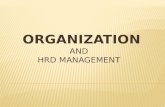 organization and HRD management