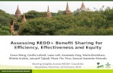 Assessing REDD+ Benefit Sharing for Efficiency, Effectiveness and Equity