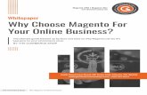Why Choose Magento For Your Online Business?