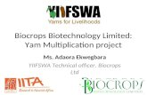 biocrops biotechnology limited: Yam multiplication project