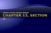 Chapter 13, section 4 diseases