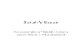 Sarah's essay