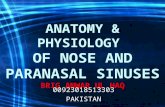 Anatomy and physiology of nose and  paranasal sinuses