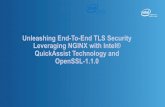 Unleashing End-to_end TLS Security Leveraging NGINX with Intel(r) QuickAssist Technology and Open SL