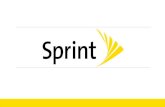 Sprint Brand Audit