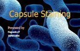 Capsule staining