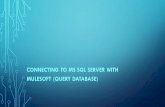 Connecting To MS SQL Server With Mulesoft (Query Database)