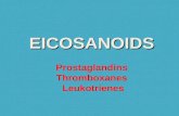Pharmacology of Eicosanoid