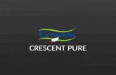 Crescent pure - Harvard Business Case study