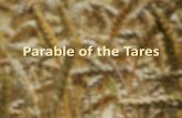 Parable of the Tares, 3/20/16