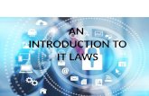 Workshop on Cyber Laws
