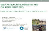 SEEA Agriculture Forestry and Fisheries (SEEA AFF): ): Current status and capacity development activities