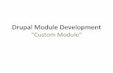 Drupal 7, Custom Developments