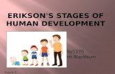 Erikson's stages of human development