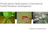 Private sector participation in commercial forest plantation development in Sri Lanka