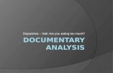 Documentary analysis - Dispatches (Salt)