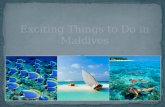 Exciting Things to Do in Maldives