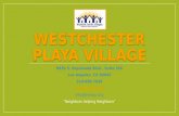 Westchester Playa Village
