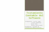 Tratamiento Contable del Software