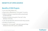 Open source vs commercial esb and api management platform   draft wh1 for smals