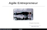Agile Entrepreneur Overview Summary