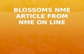 Blossoms NME