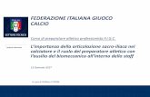 William VITERBI_Importanza sacroiliaca nel calciatore_v.0.2_draft for discussion[1293] - Copia