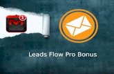 Leads flow pro review