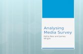 Analysing media survey