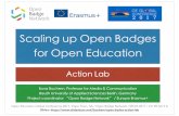 Scaling up Open Badges for Open Education