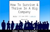 How to survive and thrive in a BigCo