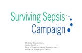 Surviving sepsis campaign  highlights 2016