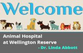 Home Boarding and Pet Sitting services in wellington Area