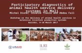 Participatory diagnostics of animal health service delivery systems in Mali