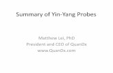 Summary of Yin Yang Probes