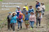 Social dimensions of agroecology
